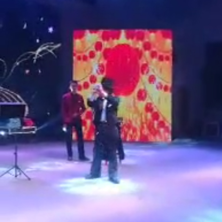多才多艺的舞台表演